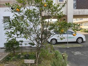 IMG_3156.JPG