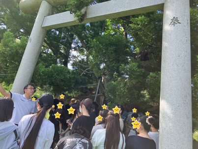 杉の木と鳥居.png