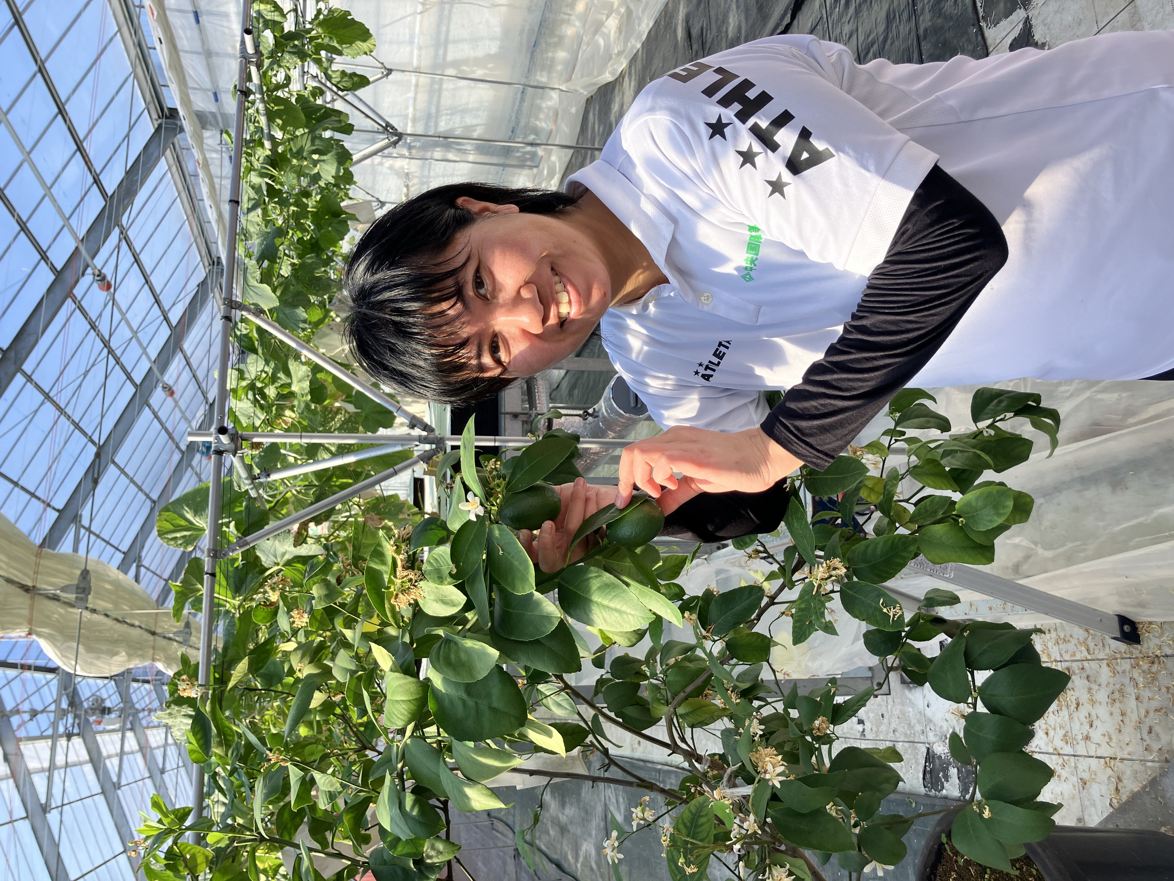 メロンハウスと畑の様子を見てきました！