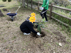 苗植え②.png